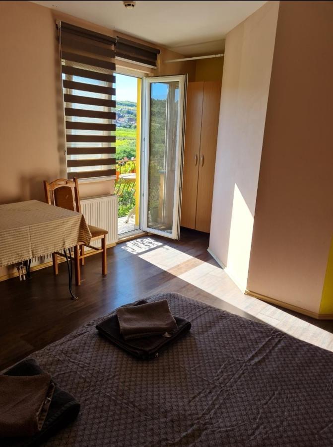 Vila Belilo Carloviţ Exterior foto